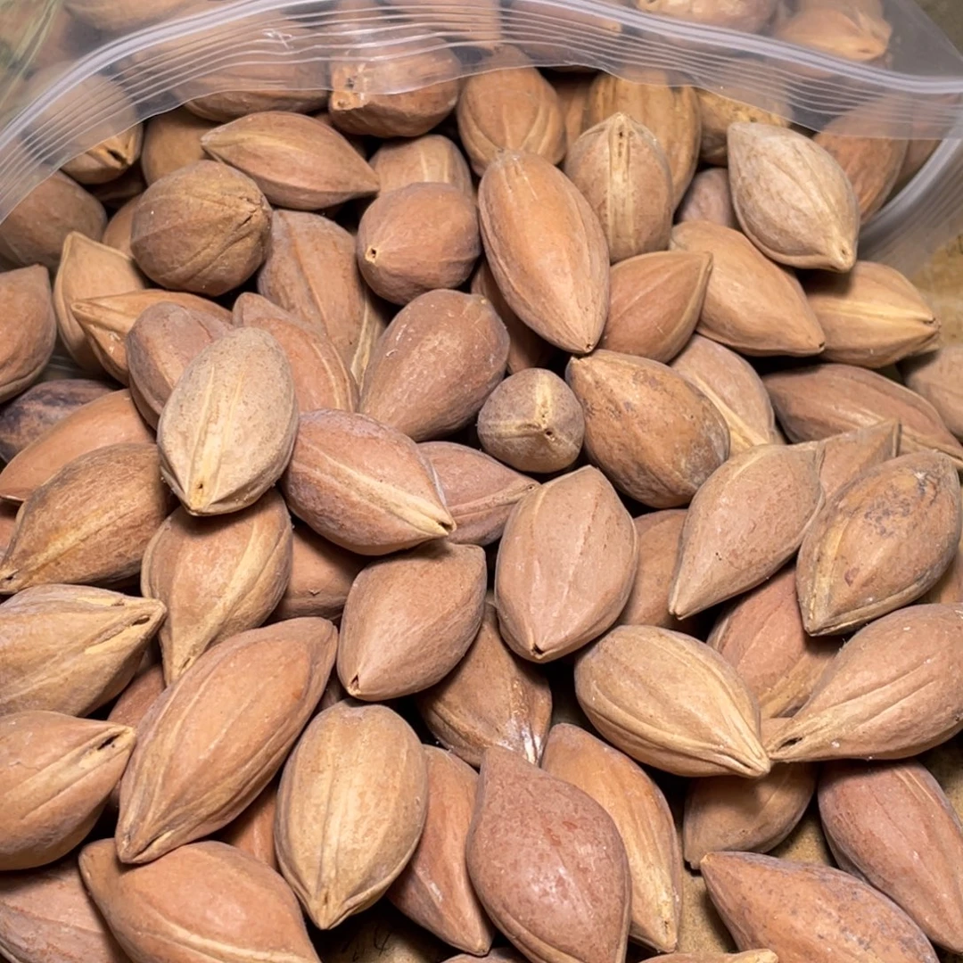 ^***^橄榄核手串/手链不退不换