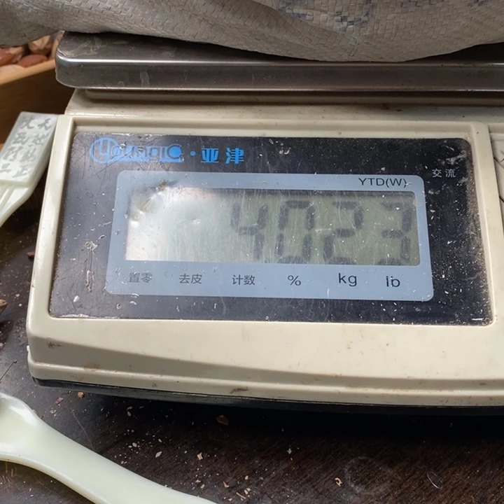 吊坠橄榄核?****?8斤