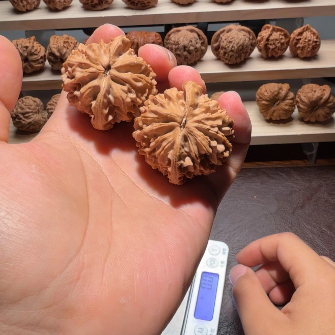 叁柒文玩41尺全品招财属