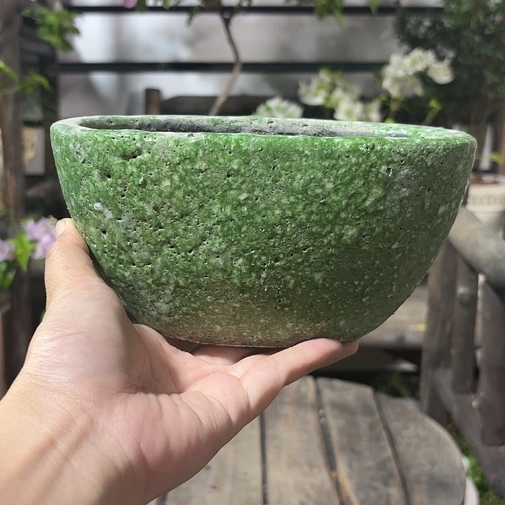 许纯的花房 孤品001