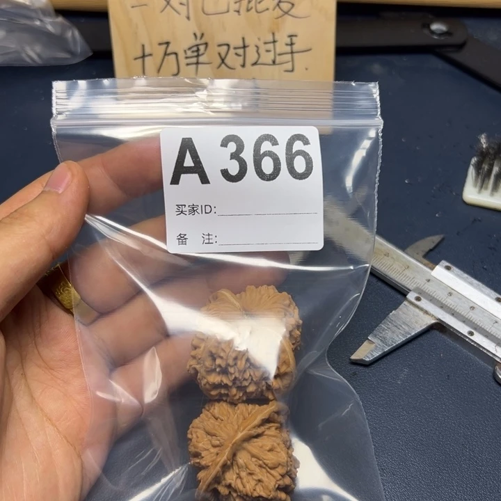 哈哈哈哈我的小可爱