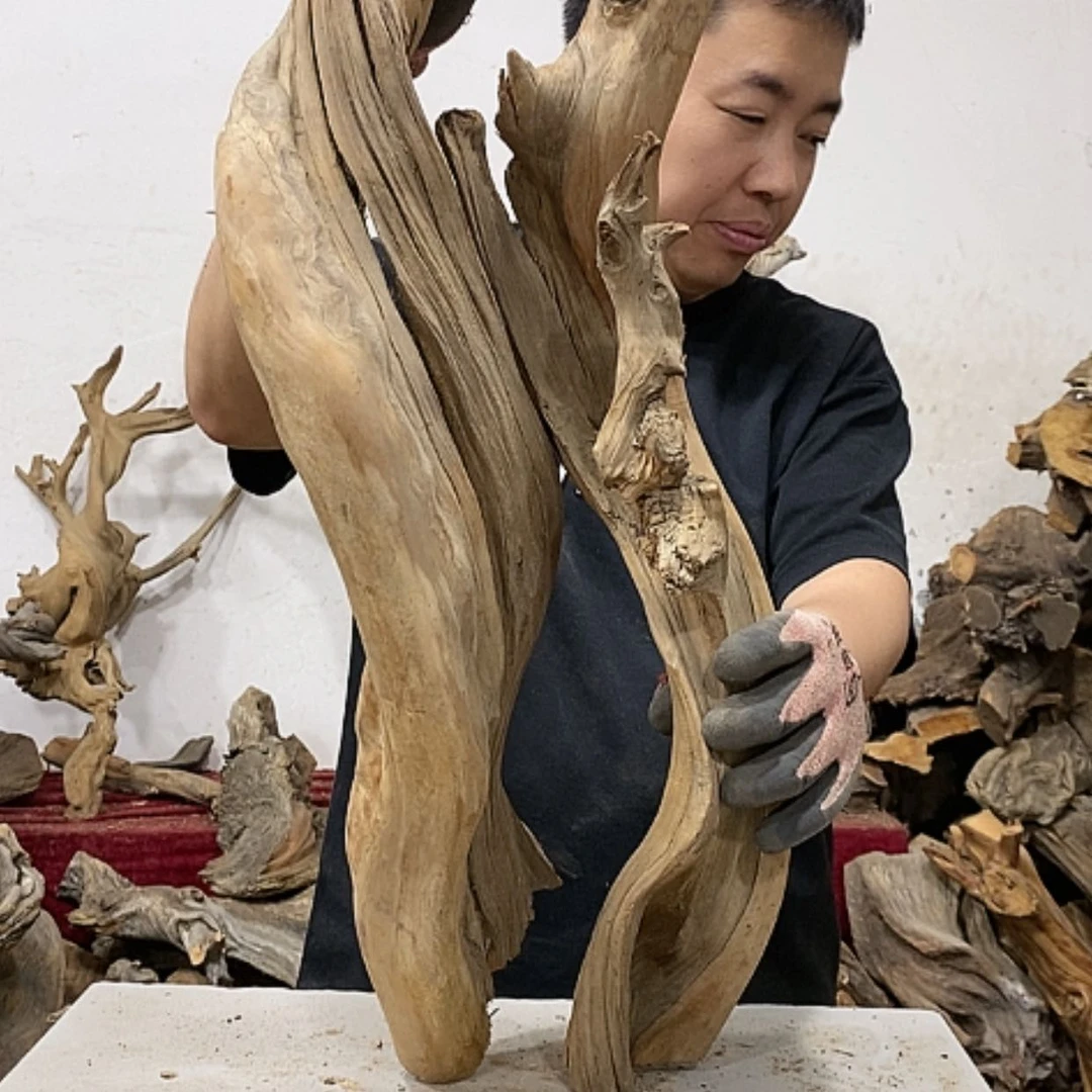 【闪购商品】柏木奇*我们都是好孩子