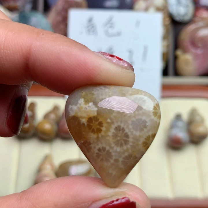 硅化珊瑚（珊瑚玉）颈饰未镶嵌