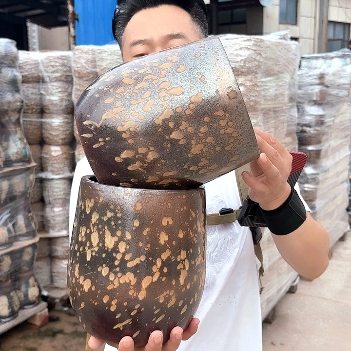 正品高22/18两个h