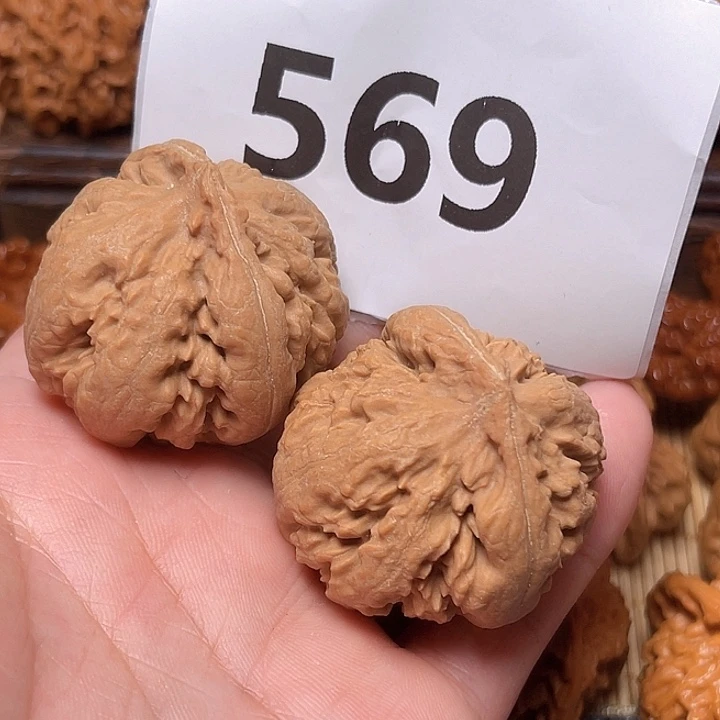 把件文玩核桃霸王龙。边40。 569