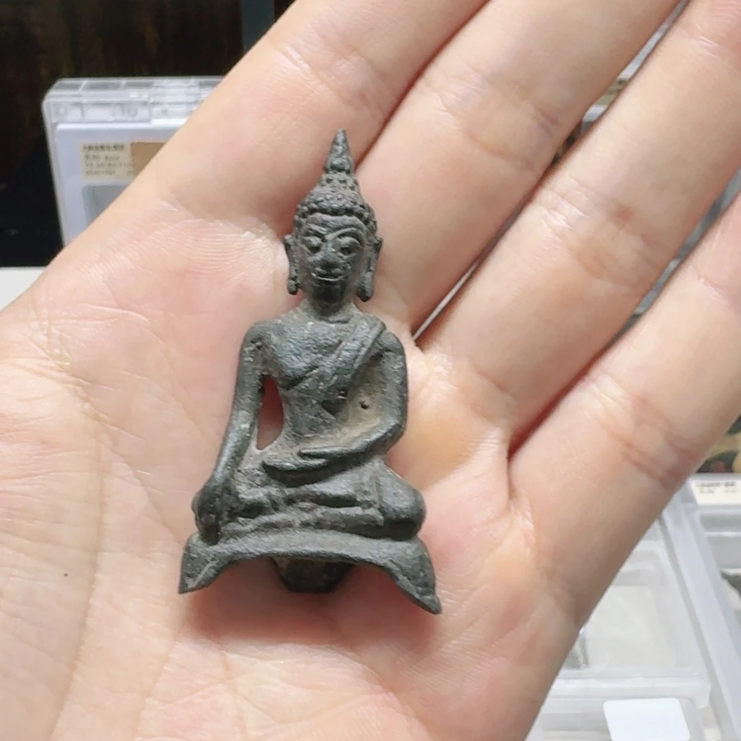 好看的好看的好看
