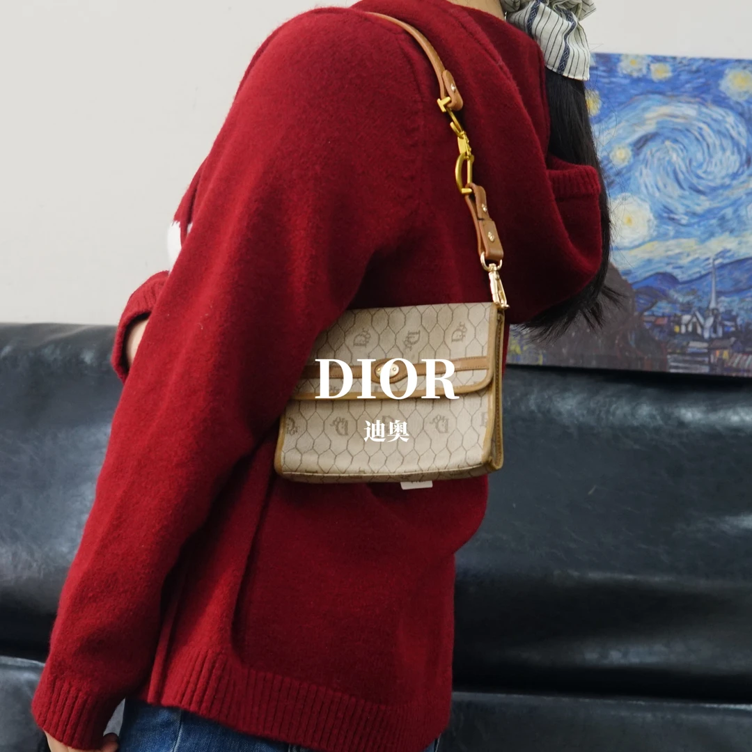 95新 DIOR/迪奥 老花单肩包/SS01322504/2504