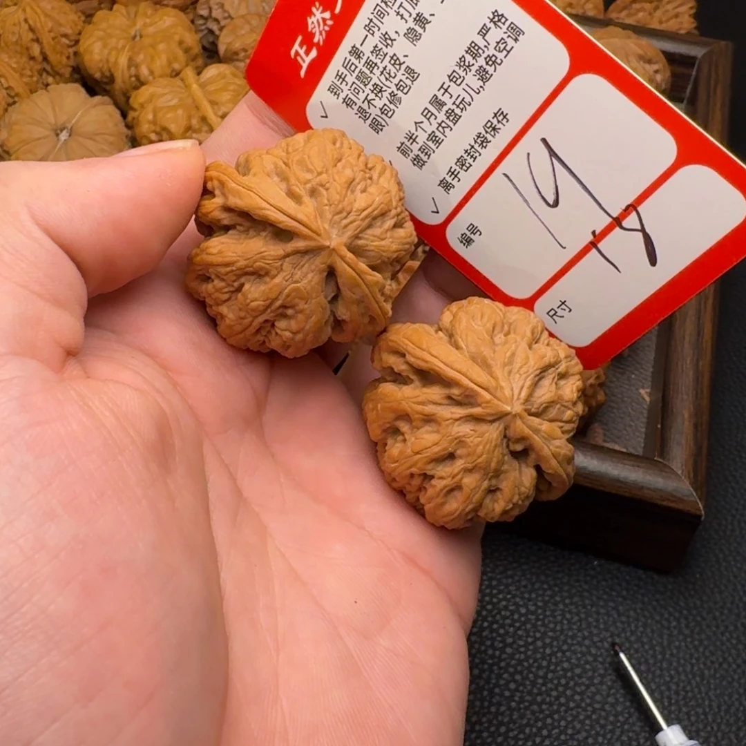 文玩核桃吊坠19大粗筋