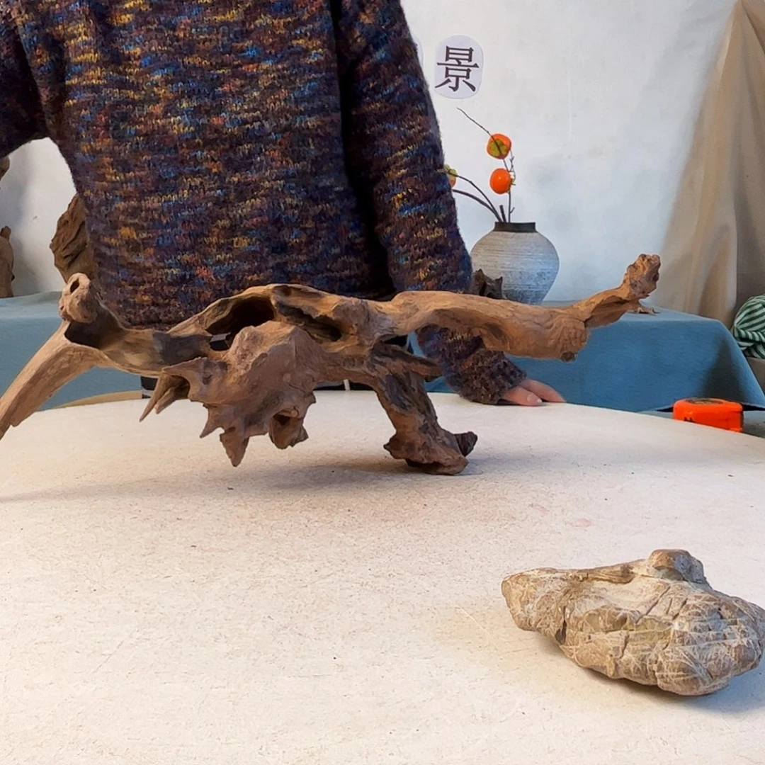 沉木造景爬宠造景