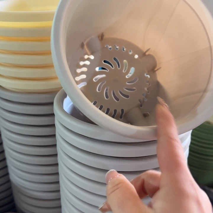 口径17灰白无托10个