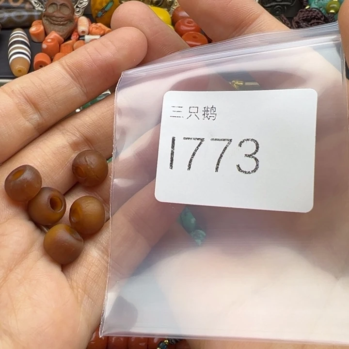 吊坠菩提根/象牙果