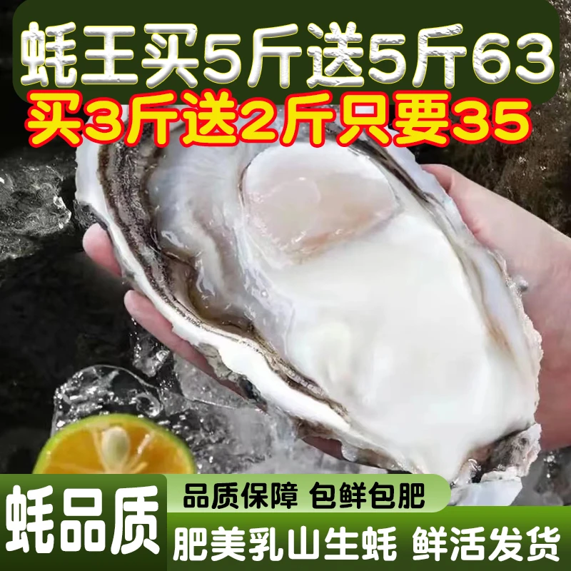 【买5斤送5斤】正宗乳山生蚝鲜活蚝王大牡蛎山东海蛎子包鲜包活F