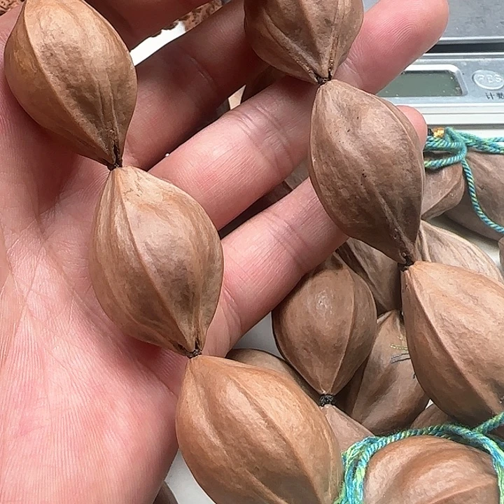 橄榄核吊坠四花铁核22左右