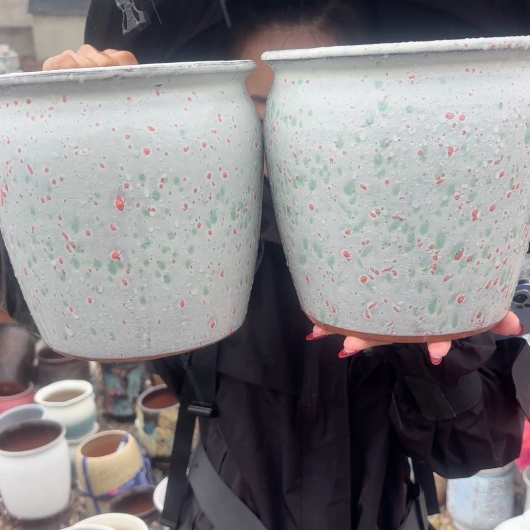 口径20高21两个白彩虎