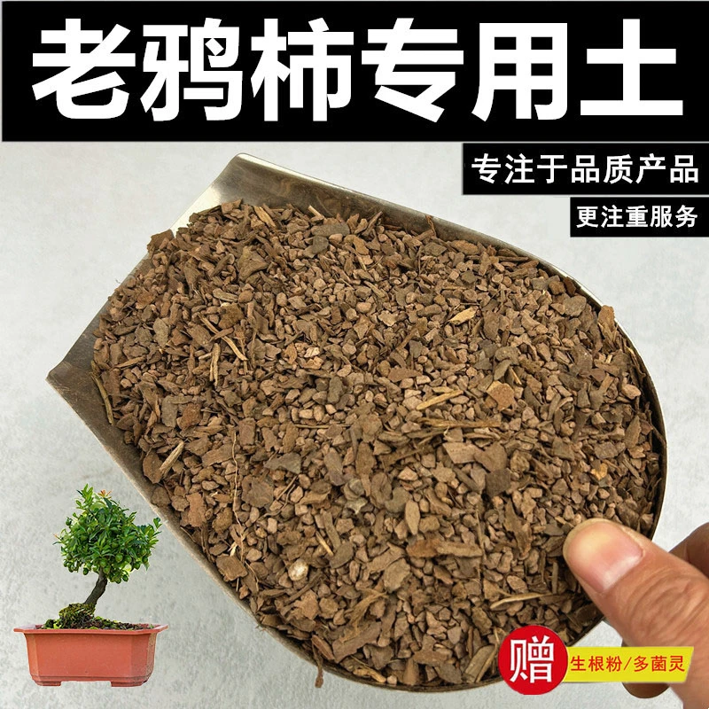 老鸦柿专用土营养土赤玉土盆栽土风化土种植土酸性土沙质土颗粒土