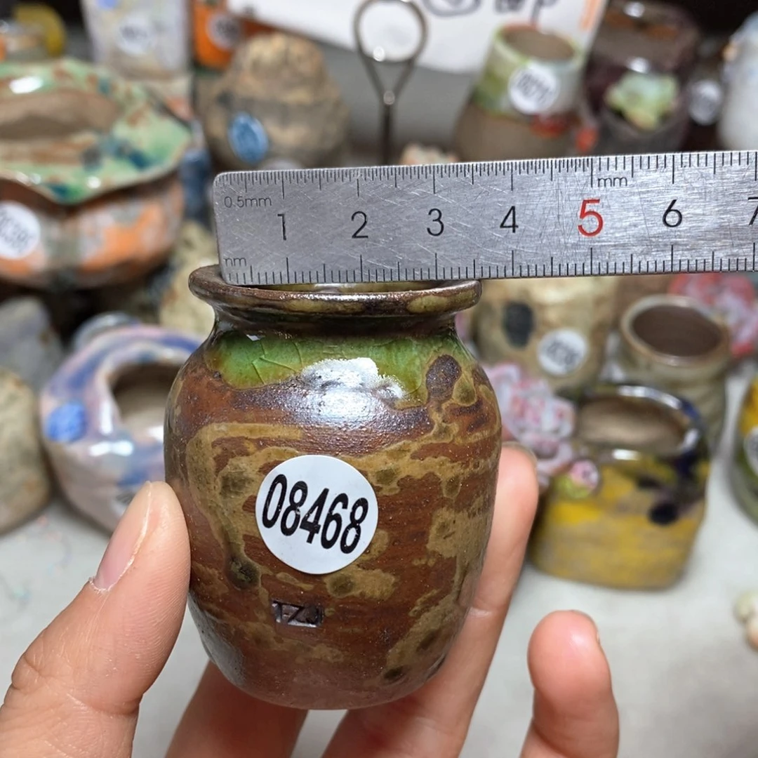 花盆拍5送一个小礼物