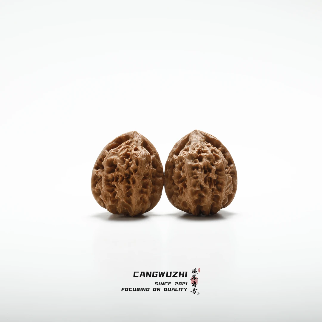 【藏物志】核农传奇-岩龙-福利对-35