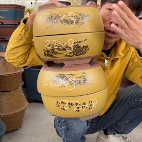 花盆紫砂特价包邮送盒