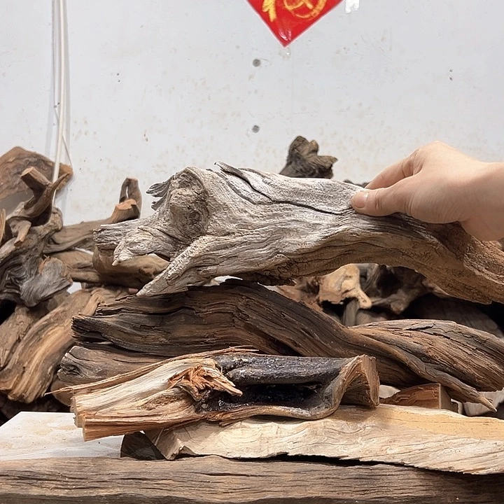 柏木王*研我们的生活也会变得更加
