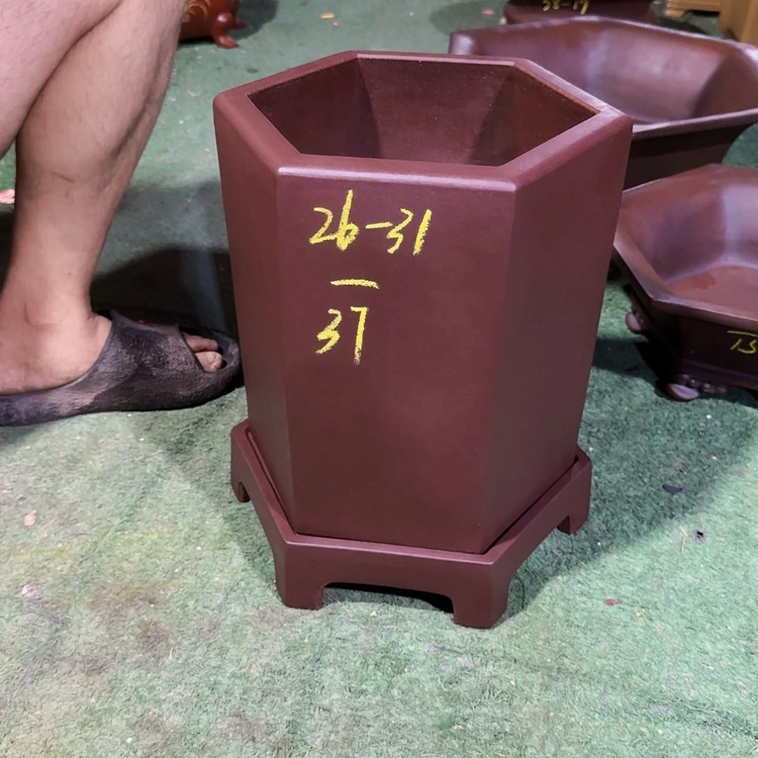 紫砂花盆紫砂花盆