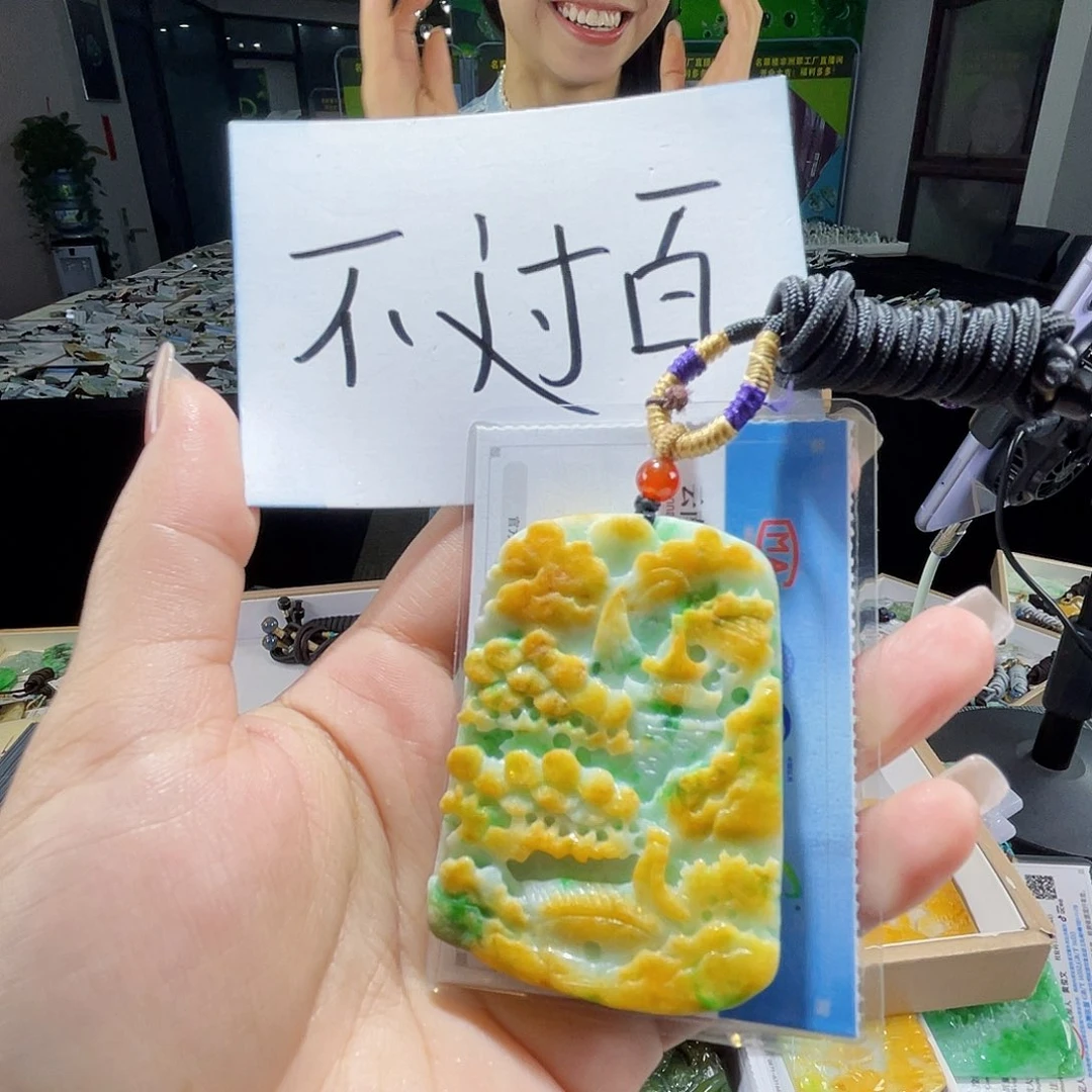 颈饰未镶嵌翡翠一个