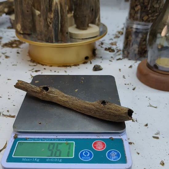 沉香碎屑沉香棋楠虫漏小料10克