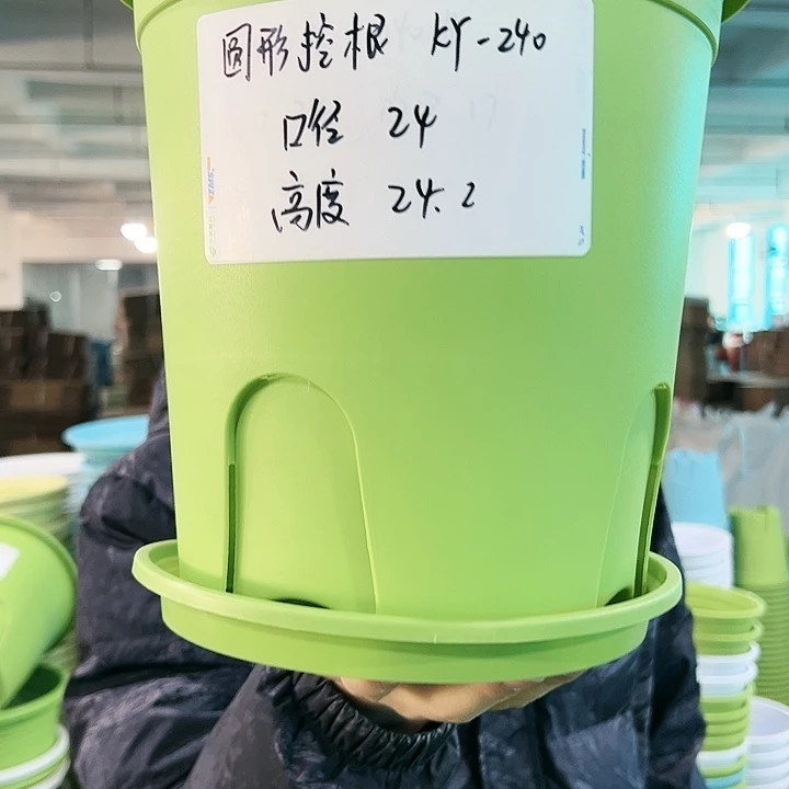 正品圆控口24高24果绿带托5只