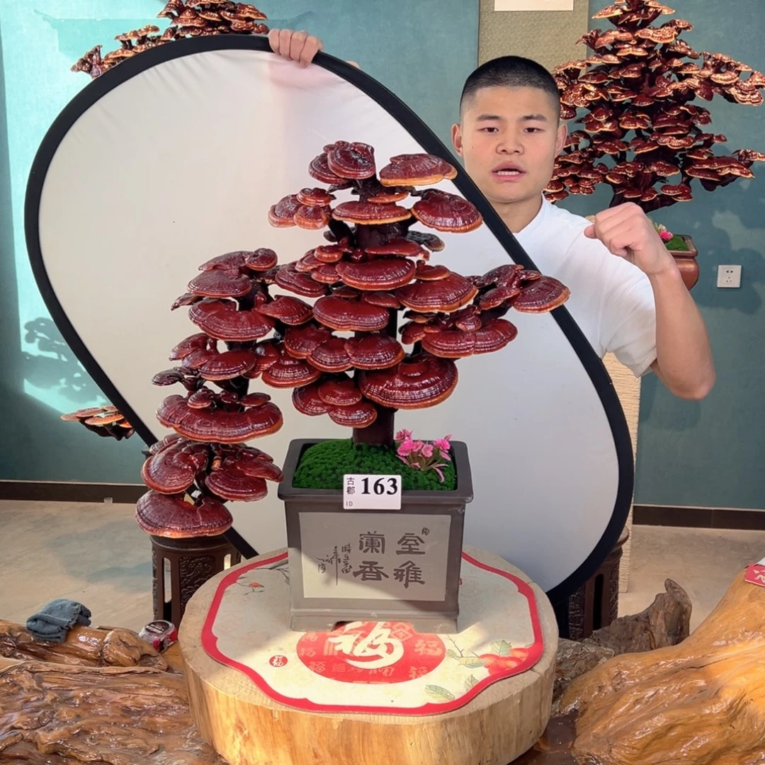 无花朵88888888888888888