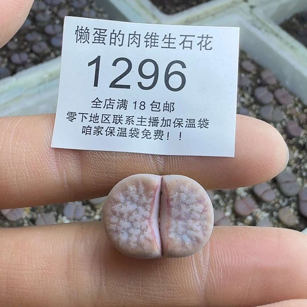 灡***1296 哈哈哈哈哈哈哈哈哈