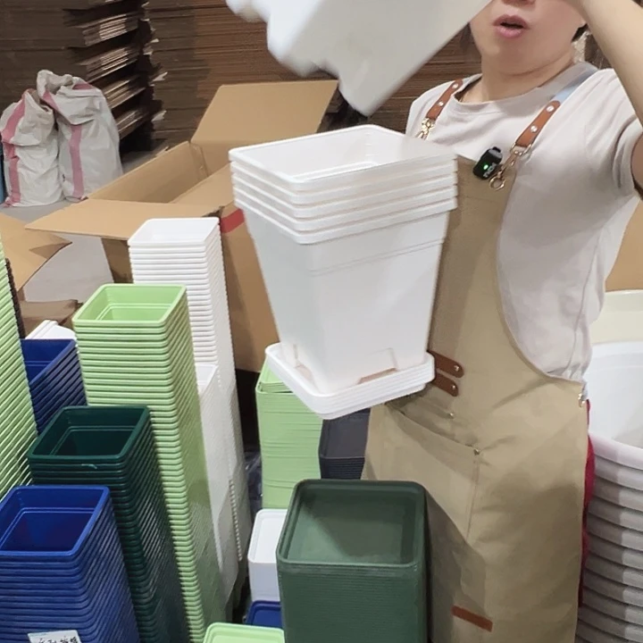 方盆口20高22白色带托6只正品