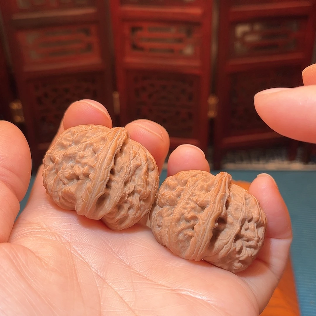 36边37肚全品小白狮子……