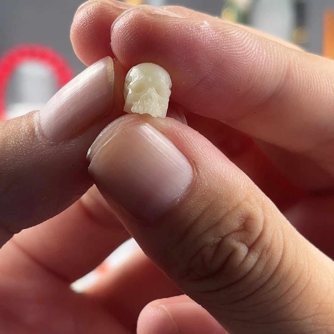 其他驼骨尸陀林骷髅一个