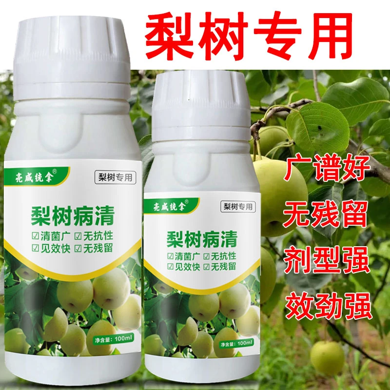 亮威梨树病菌清烂果褐腐病穿孔流胶缩叶疮痂炭疽微生物菌剂