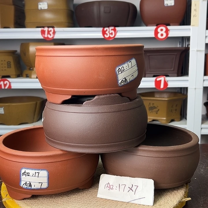 花盆紫砂你在一起