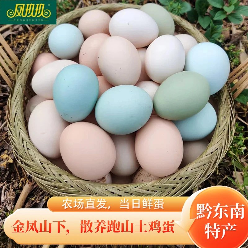 新鲜土鸡蛋与绿壳乌鸡蛋组合正宗农家散养健康营养