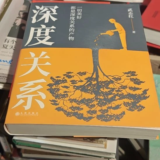 武志红深度关系（务必塑封）正版正版全新