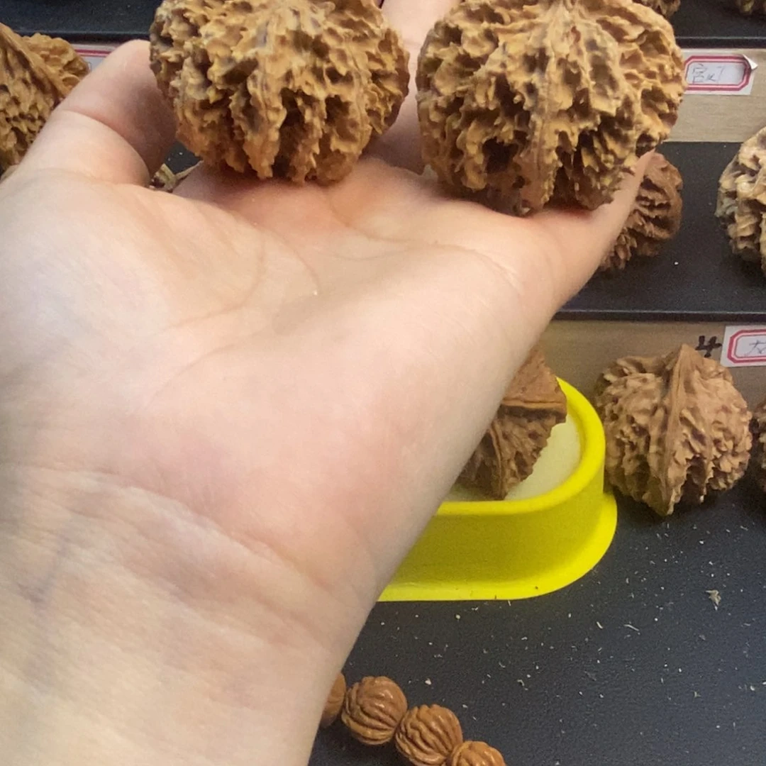 桃核吊坠?****y秦岭菊花44