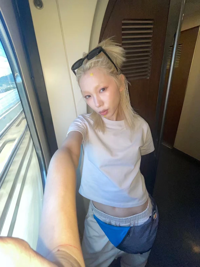 MMBBT【纯色小短袖】高奢定制面料纯棉正肩修身短袖