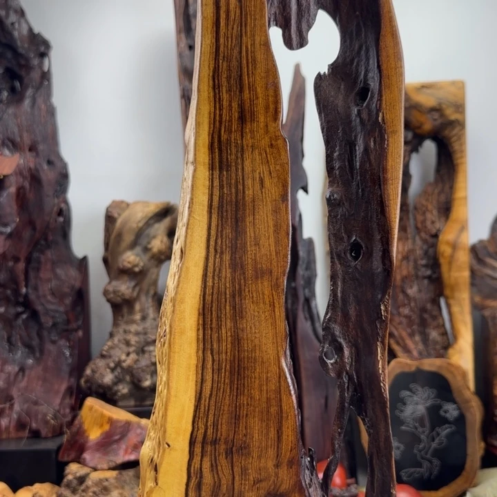 大果紫檀（缅甸花梨）H*