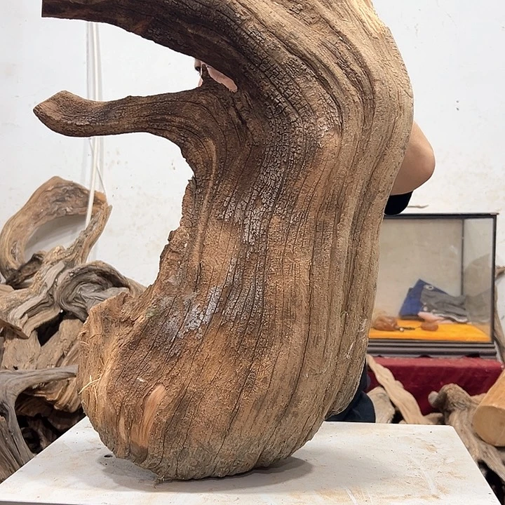 柏木?****?我们的生活也是如此的