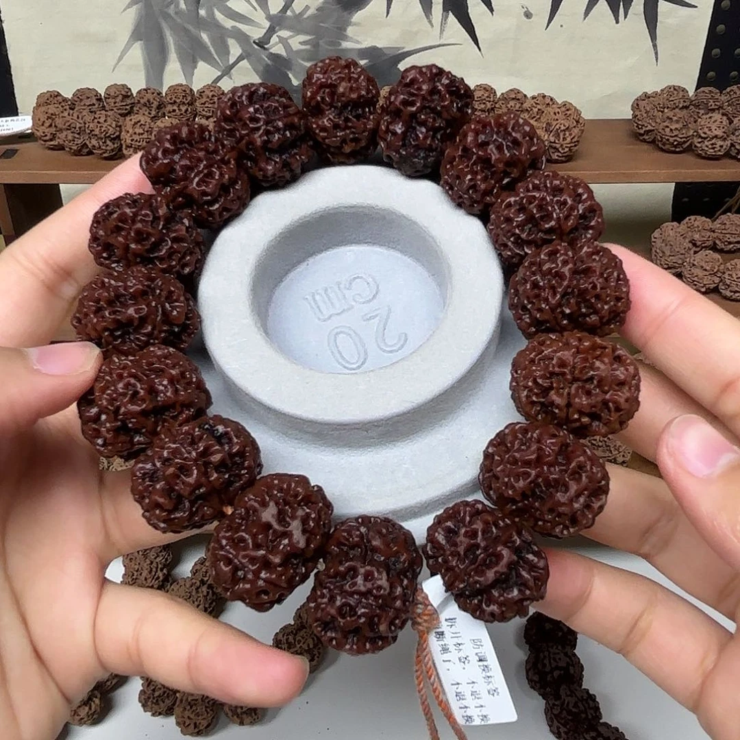 吊坠金刚菩提25原生态大金刚菩提树籽