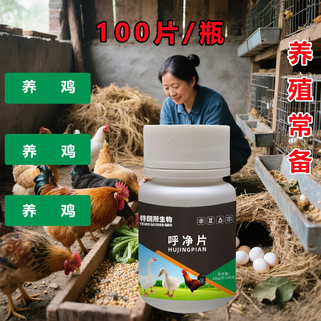 双十一特惠乎净片100片正品厂家直发鸡鸭鹅鸽子鹌鹑家禽农村散鸡