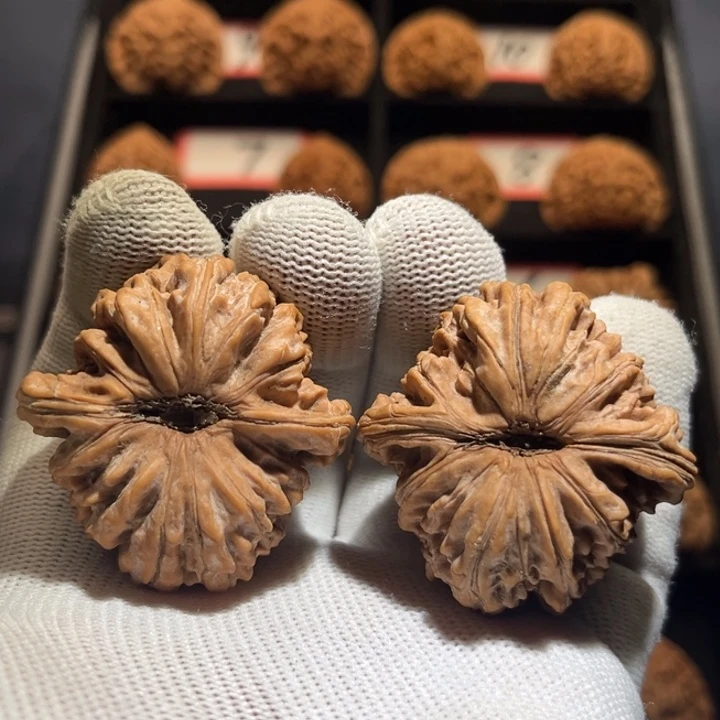 钉***钉吊坠文玩核桃03秦皇岛山地果全品