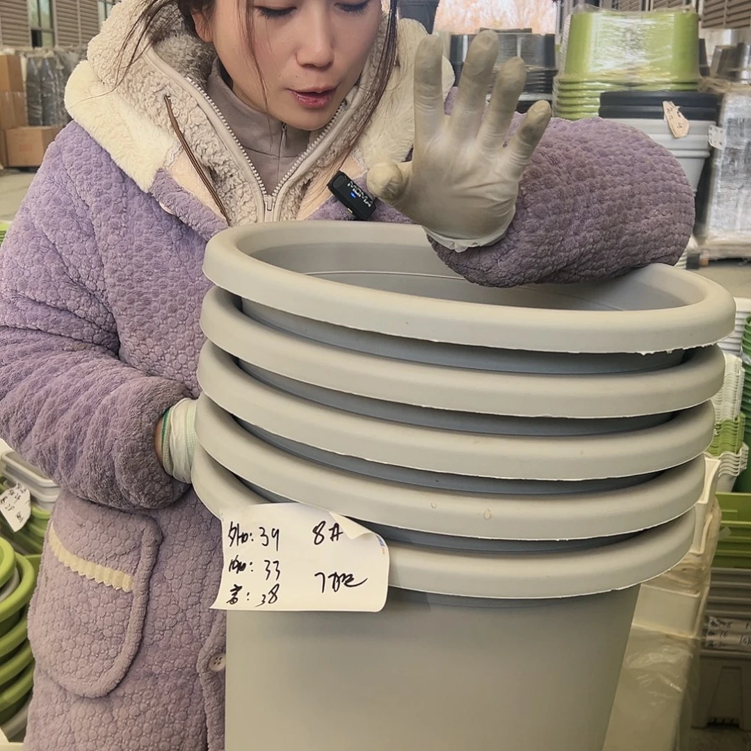 四季盆8#灰白5个无托