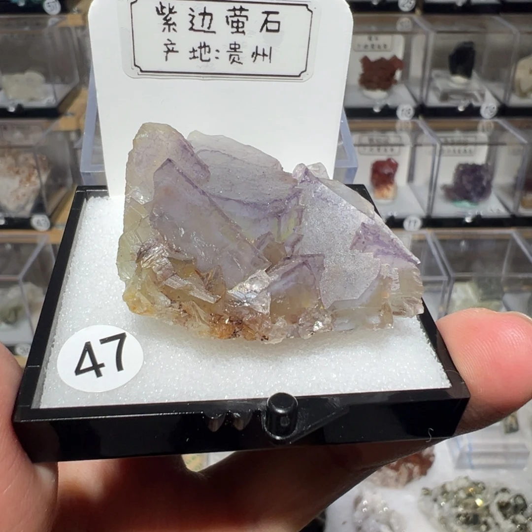 银S925镶嵌大型摆件（非配饰）紫晶