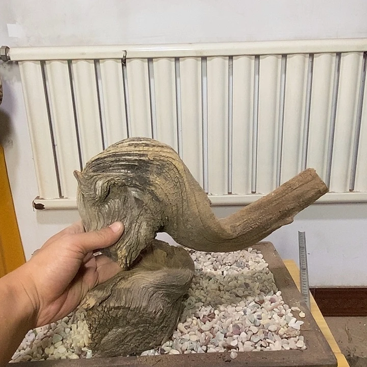 忠***坊柏木（崖柏）崖柏根雕天然艺术