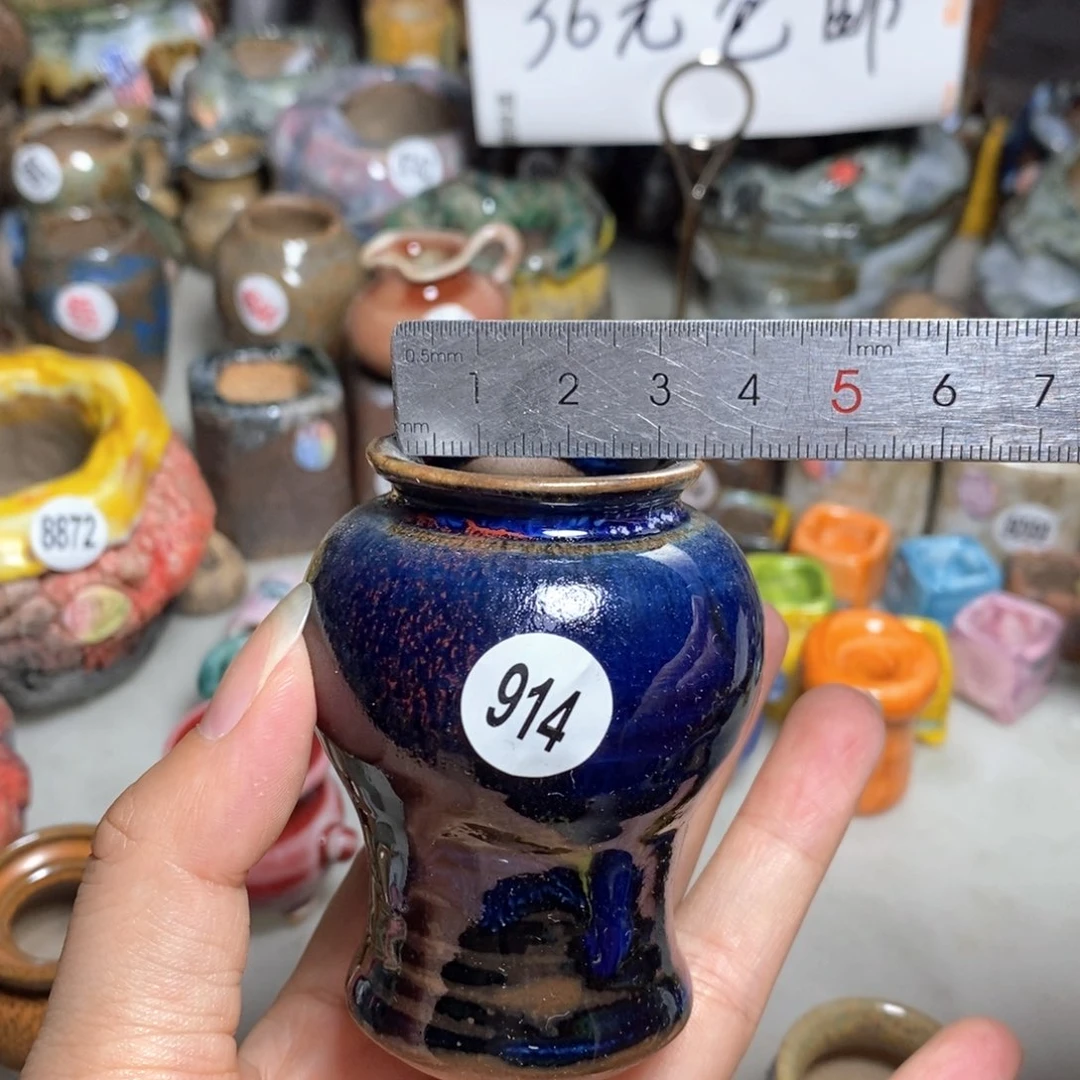 拍5送一个小礼物