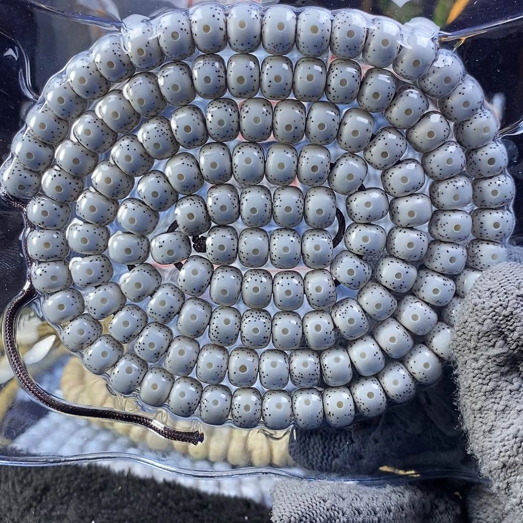 快***乐星月菩提手串星月菩提