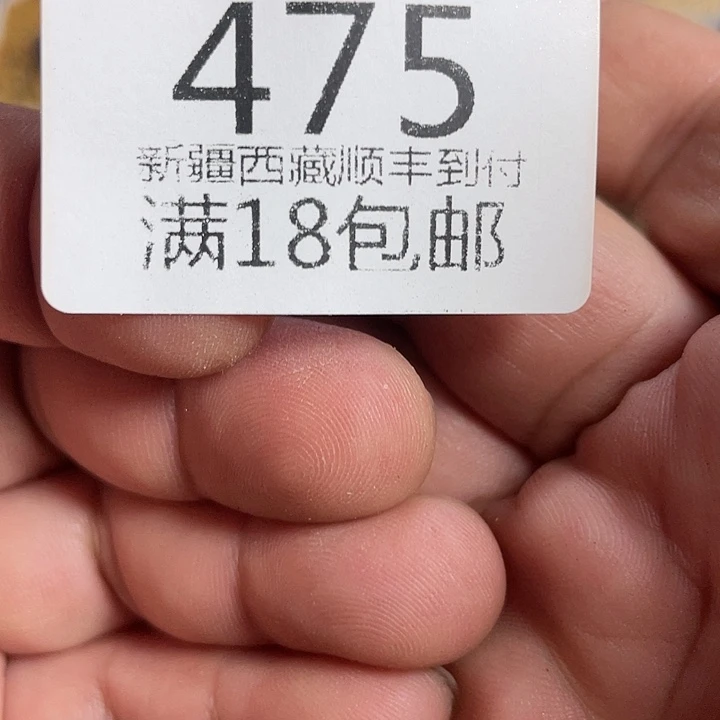 软***萌佳人园艺博览会475
