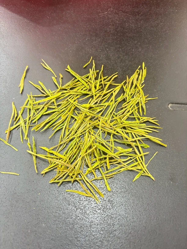 新茶黄金芽芽浓香型豆香板栗香口粮茶